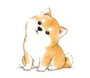846932335