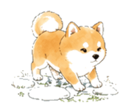 846932336