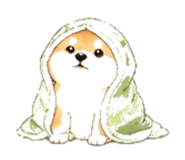 846932342