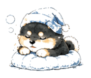 846932534