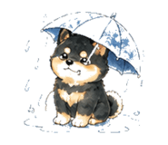 846932541