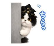 846932920