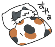 846938736
