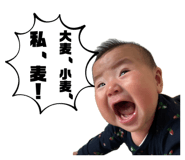 846939816