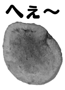 846940145