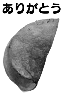 846940155
