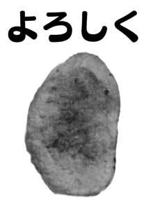 846940156