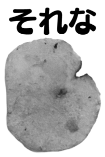 846940162