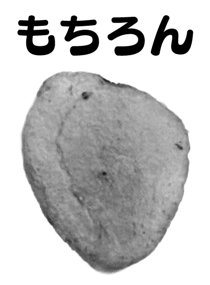 846940164