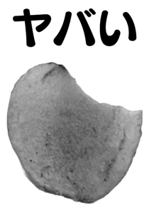 846940167