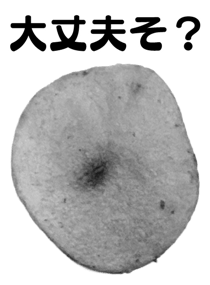 846940169