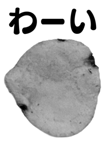 846940174