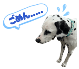 846940382