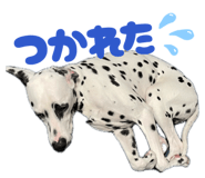 846940390