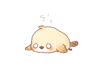 846941156