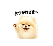 846941167