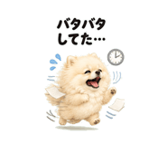846941196