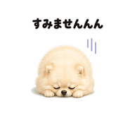 846941197