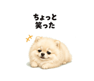 846941199
