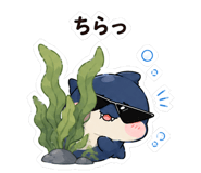 846942437