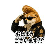 846942441