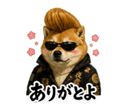 846942445