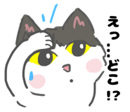 846942952