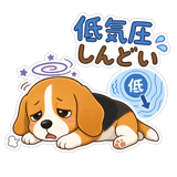 846943425