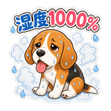 846943440