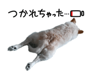 846945884