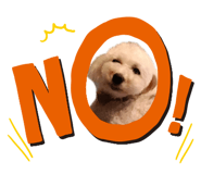 846945885
