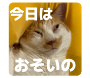 846946665