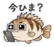 846950049