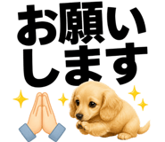 846950169