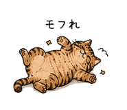 846950206