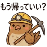 846950594