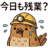846950595