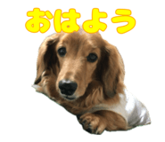846953209