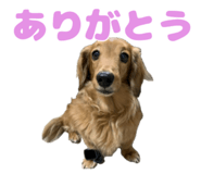 846953212