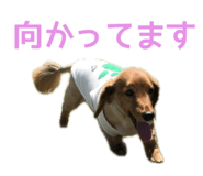 846953220