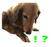 846953223