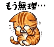 846956674