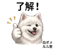 846958052