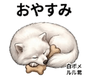 846958054