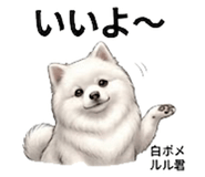 846958058