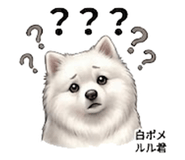 846958063