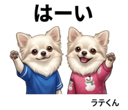 846958217