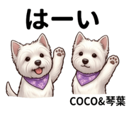 846958993
