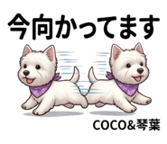 846959001