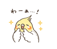 846959116